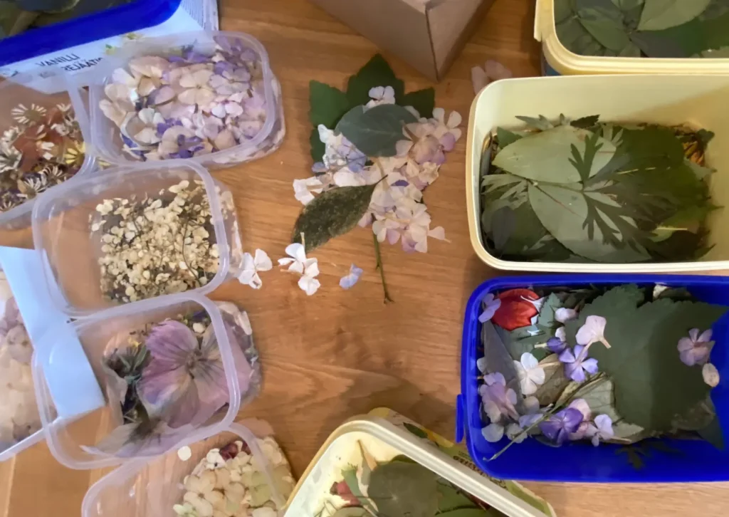 Pulmapeo lõbustused lastele