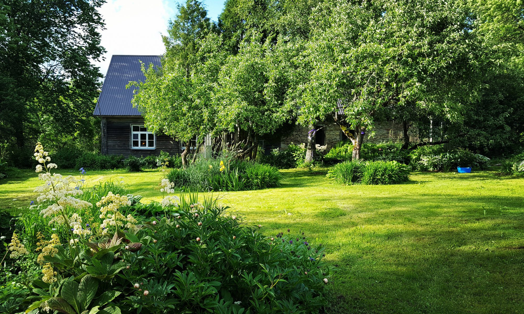 filmitalu rao heidmets raplama